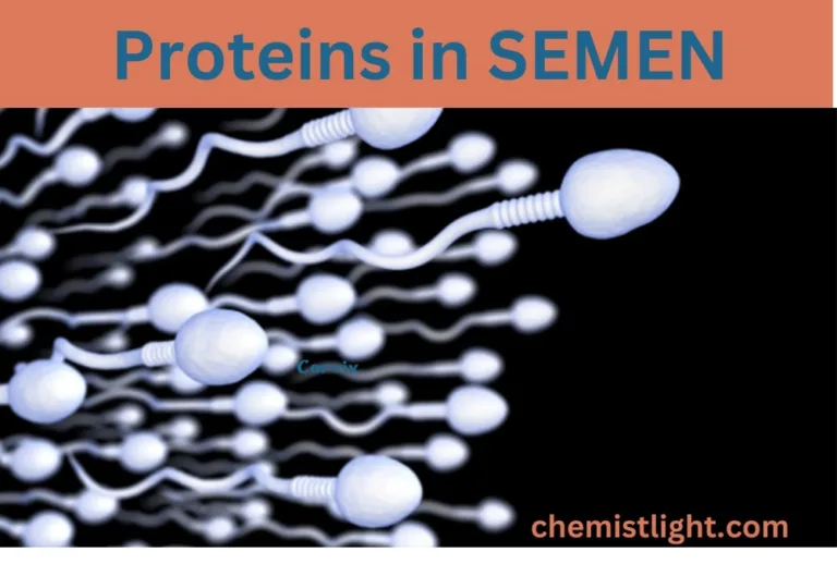 Which proteins are present in semen?