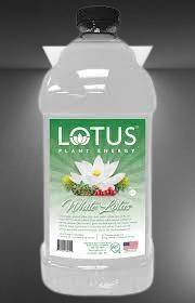 A can of White Lotus Energy Drink against a bright background, featuring the brand logo and vibrant floral design.